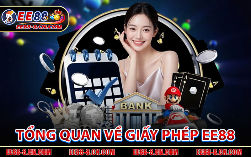 Tổng Quan Về Giấy Phép Hoạt Động EE88